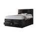 Briana Transitional Black Queen Bed image